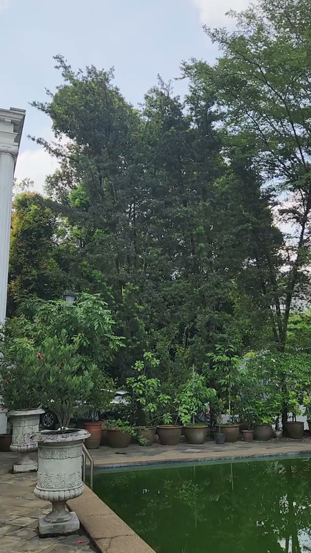 Bangsar photo 7