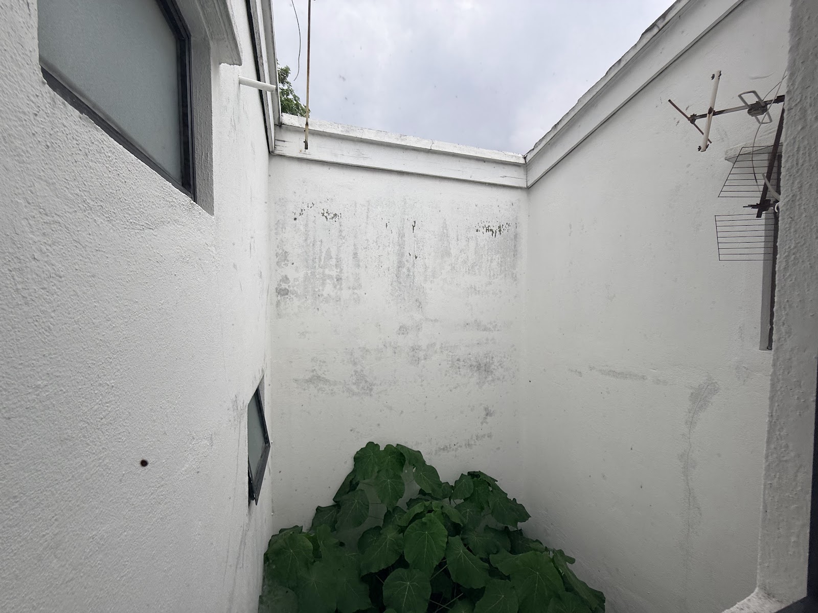 Seputeh photo 7