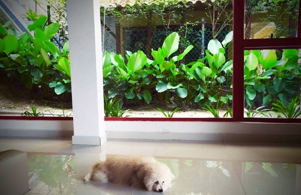 Bangsar photo 9