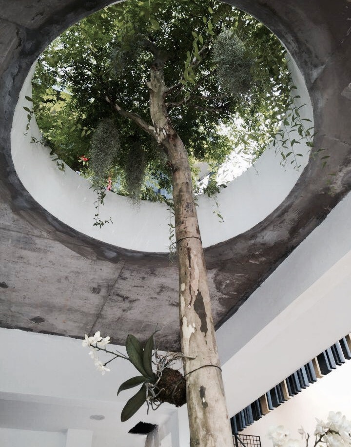 Bangsar photo 10