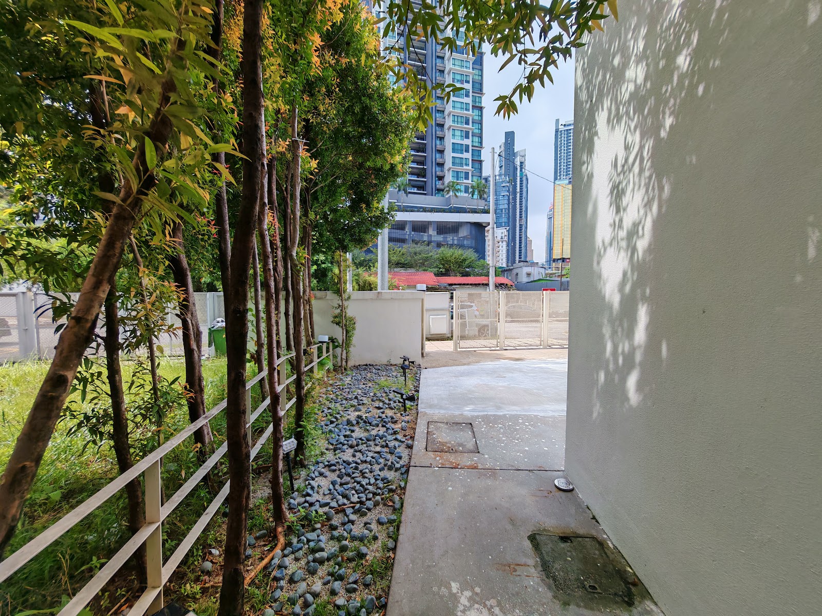Damai photo 8