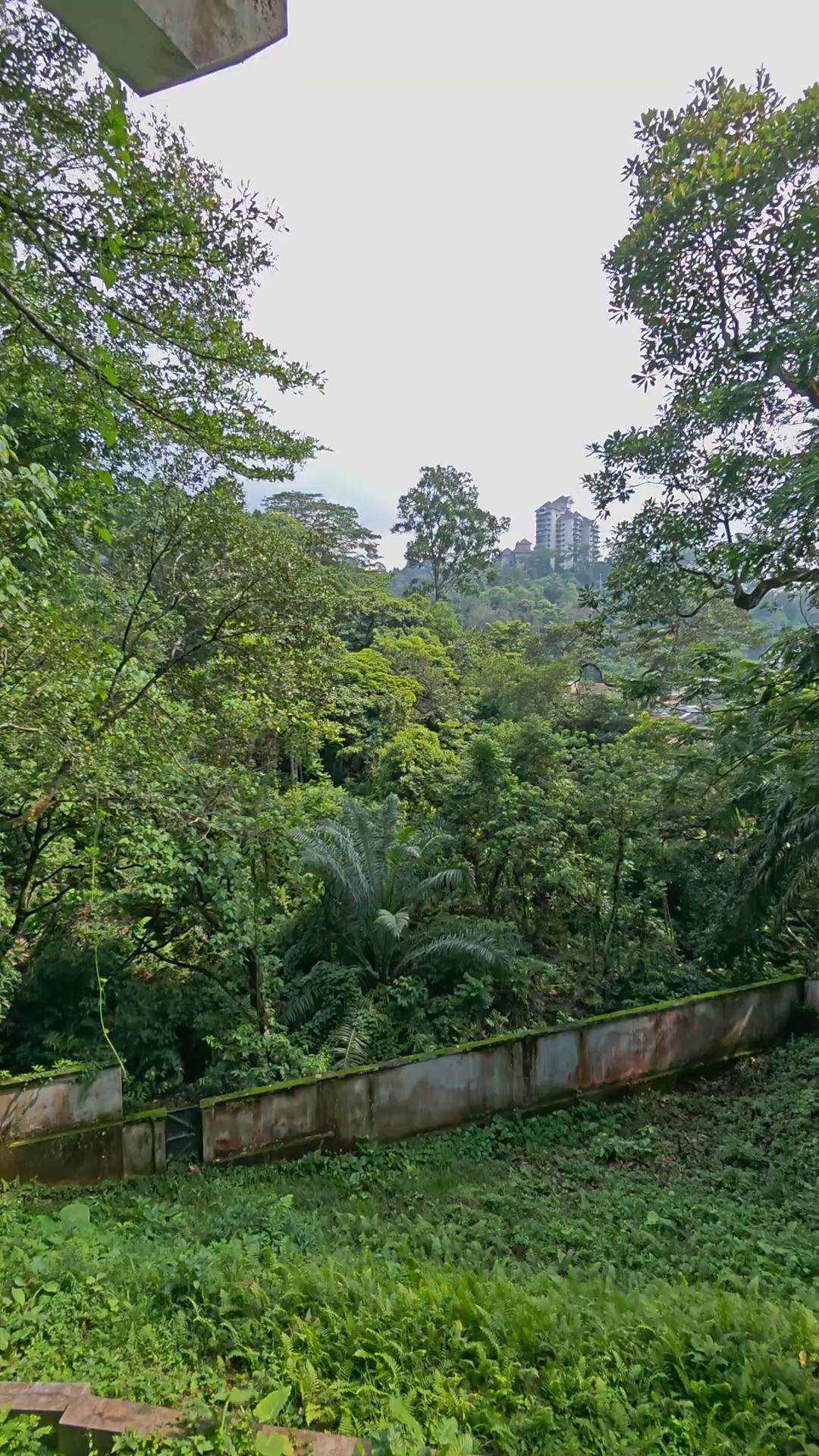 Tebrau Property photo 8